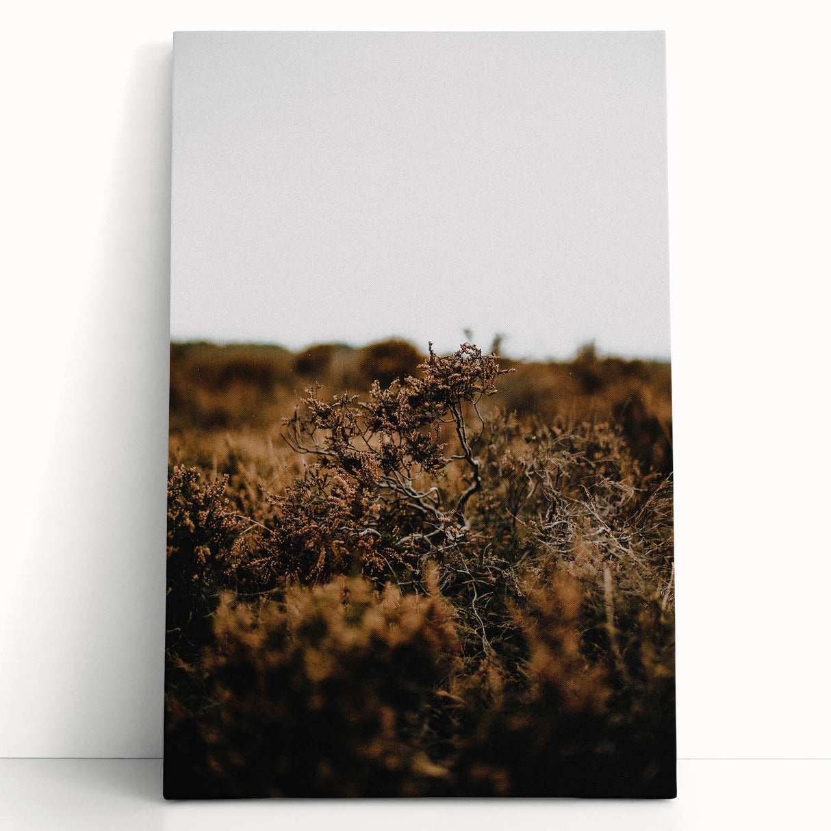 Large black and white stretched canvas featuring a minimalist autumn tree, ideal for kitchen wall art.