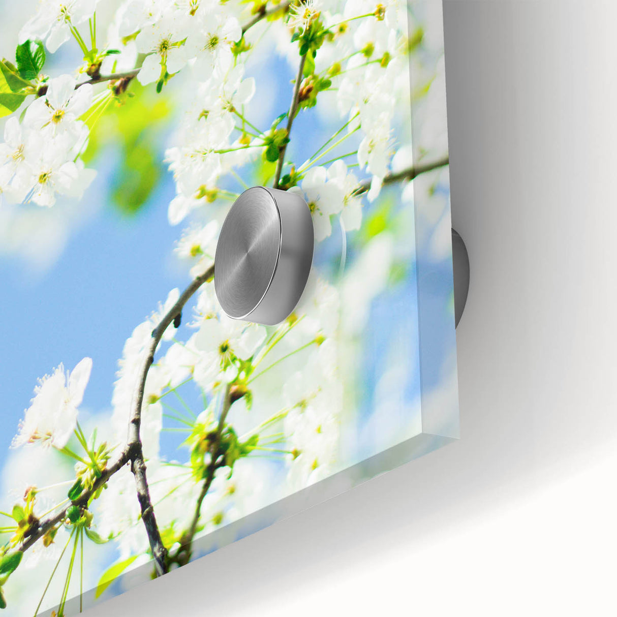 Large abstract wall art in vibrant spring hues on acrylic glass, suitable for dining room ambiance.