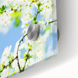 Large abstract wall art in vibrant spring hues on acrylic glass, suitable for dining room ambiance.