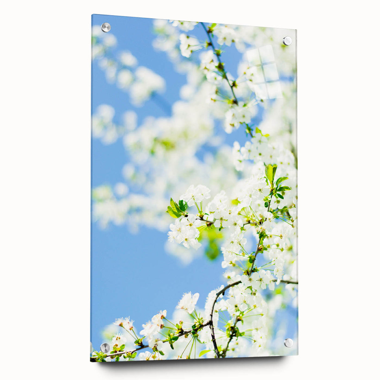 Large abstract wall art on acrylic glass depicting spring season in vibrant green and pink tones.