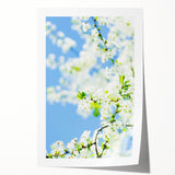 Spring-themed floral art on rolled canvas, showcasing soft pastel shades, ideal for dining room wall decor.