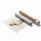 Romanticism Art: Ornate Bird Illustration - Historical Canvas Print