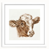 Romanticism Art: Head of a Cow - Historical Animal Sketch Canvas Print