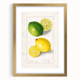 Extra large abstract art print featuring textured fruits in vibrant colors on a gold-framed canvas.