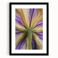 Abstract art print with vibrant, colorful floral patterns on a textured canvas, framed in black, ideal for living room decor.