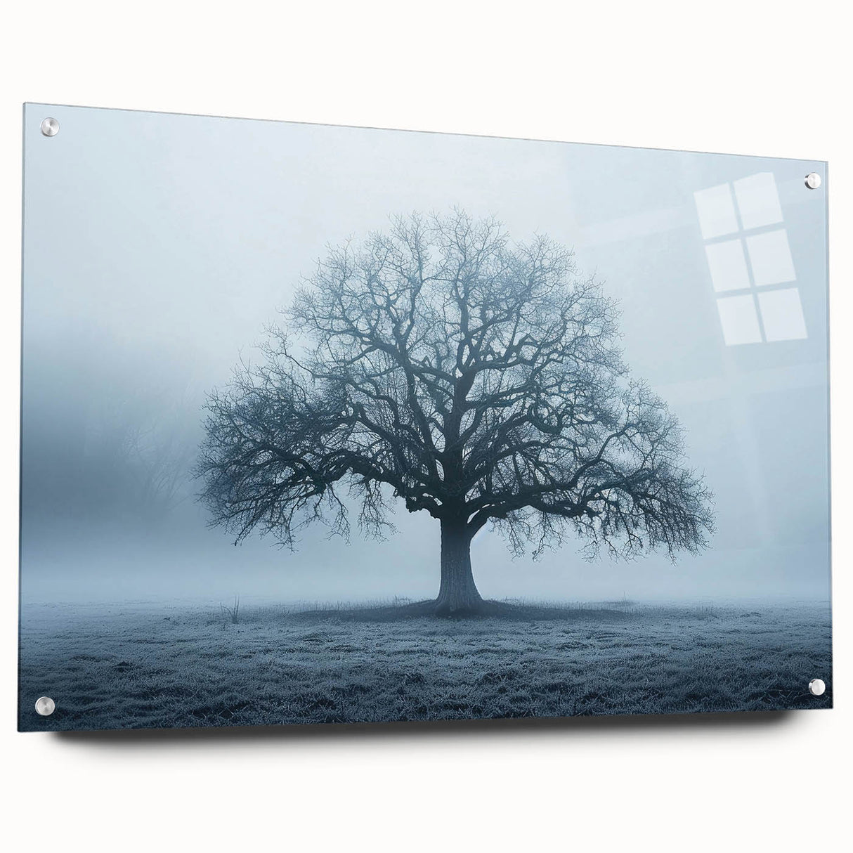 Acrylic print of a European landscape in Latvia, featuring muted earth tones, ideal for dining room decor.