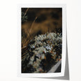 Rolled print featuring a large, detailed floral design in warm autumn hues, ideal for art wall dining room.