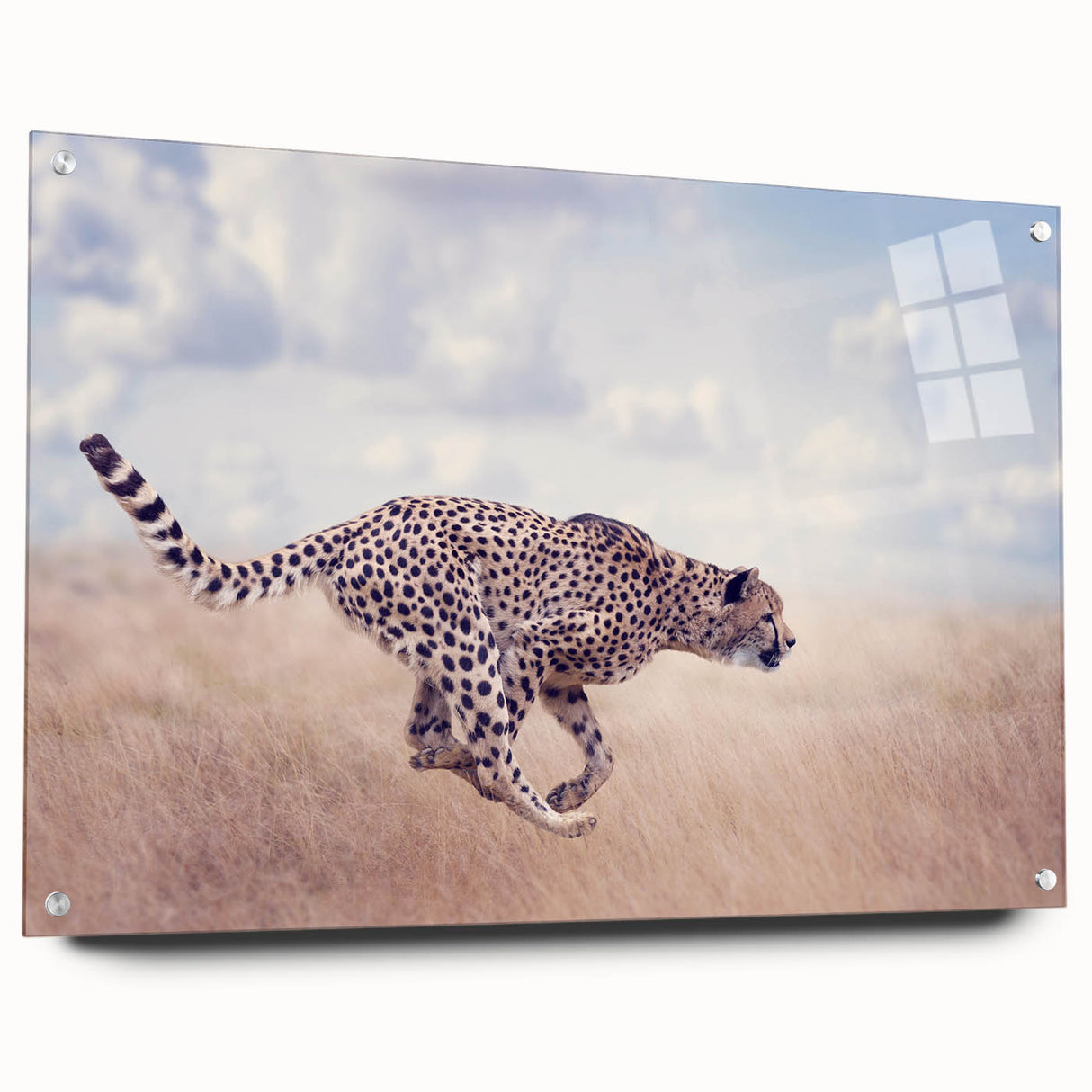Acrylic glass artwork showcasing a vibrant animal design in a side view, featuring colorful pins for display. Ideal for home decor enthusiasts seeking unique wall art.