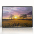 Framed black acrylic artwork showcasing a serene landscape of rolling fields under a bright blue sky, adding a modern touch to home decor.