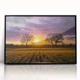 Framed black acrylic artwork showcasing a serene landscape of rolling fields under a bright blue sky, adding a modern touch to home decor.