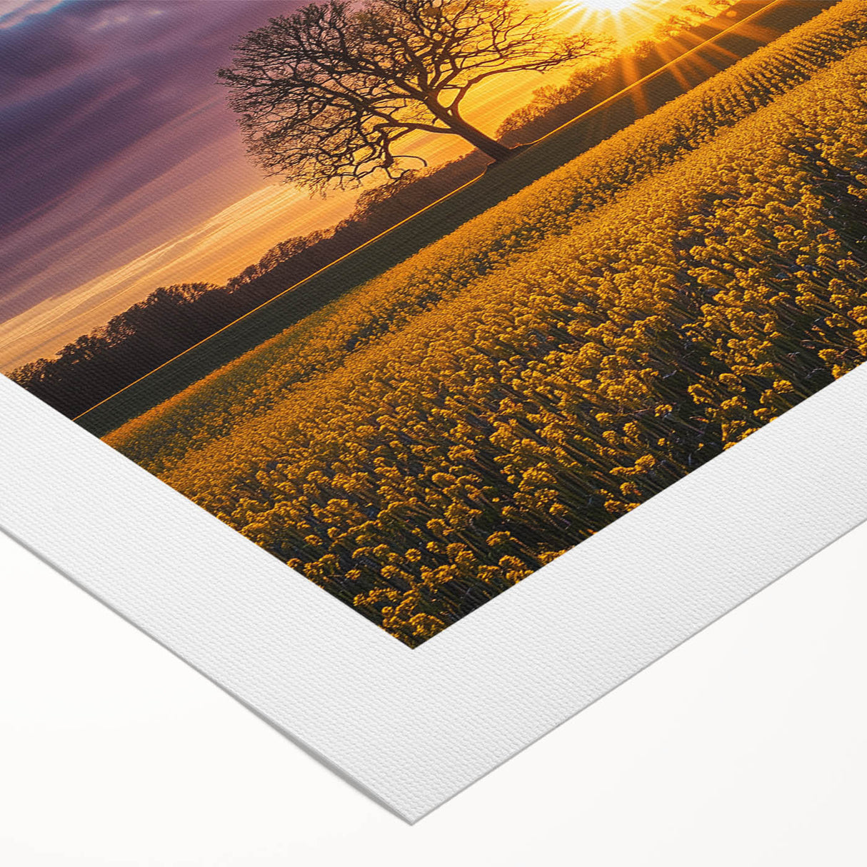 Vibrant rolled canvas print showcasing a serene landscape with lush green fields and a blue sky, elegantly packaged in a protective cardboard tube for delivery.