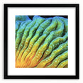 Extra large abstract art print featuring vibrant, colorful floral designs on a textured canvas, framed in black.