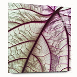 Close-up of leaves in muted green and brown tones on acrylic glass, suitable for bedroom or dining room decor.
