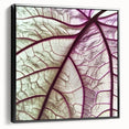 Close-up of leaves in black and white on a framed canvas, suitable for bedroom wall decor.