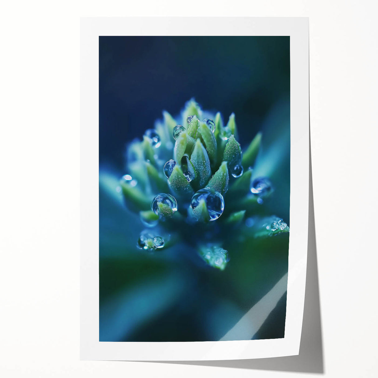 Close-up floral photography in soft pastel shades on a rolled print, suitable for dining room or bathroom wall art.