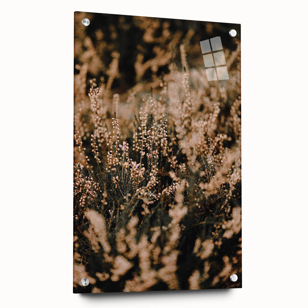 Large abstract wall art depicting autumnal trees in orange and red tones, printed on acrylic glass.