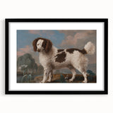 Brown and White Spaniel - Romanticism Dog Portrait by George Stubbs