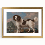 Brown and White Spaniel - Romanticism Dog Portrait by George Stubbs