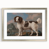 Brown and White Spaniel - Romanticism Dog Portrait by George Stubbs