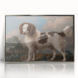 Brown and White Spaniel - Romanticism Dog Portrait by George Stubbs