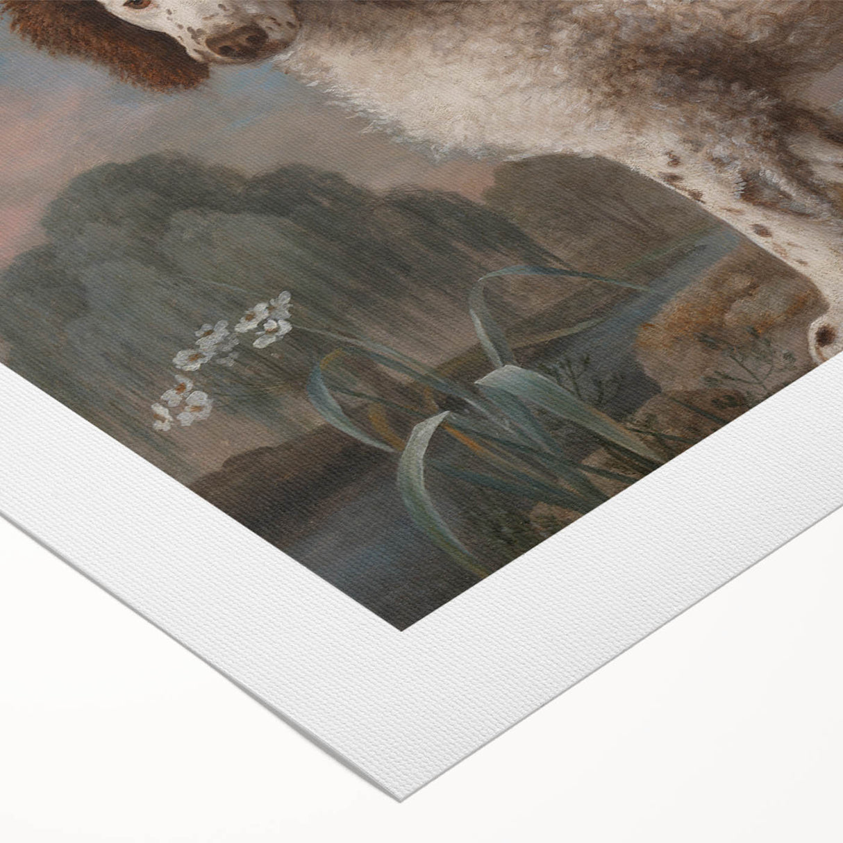 Brown and White Spaniel - Romanticism Dog Portrait by George Stubbs