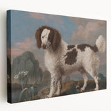 Brown and White Spaniel - Romanticism Dog Portrait by George Stubbs