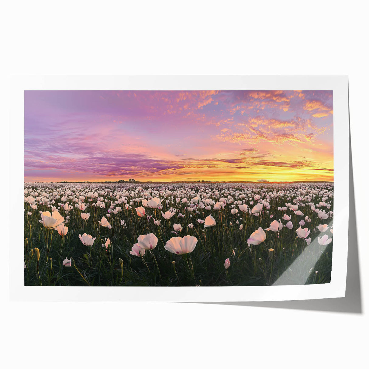 Vibrant rolled canvas print showcasing a serene landscape with lush green fields and a bright blue sky, elegantly packaged in a protective cardboard tube, ideal for home decor.