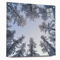 Acrylic print of a close-up nature scene with ice crystals, in cool blue and white tones.