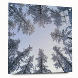 Acrylic print of a close-up nature scene with ice crystals, in cool blue and white tones.