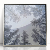 Mid-century modernist art featuring close-ups of icicles and frost in muted gray tones, framed in silver acrylic.