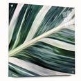 Close-up of green leaves on acrylic glass, suitable for bedroom or dining room decor.