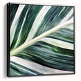 Black and white close-up photo of leaves on a framed canvas, suitable for bedroom wall decor.