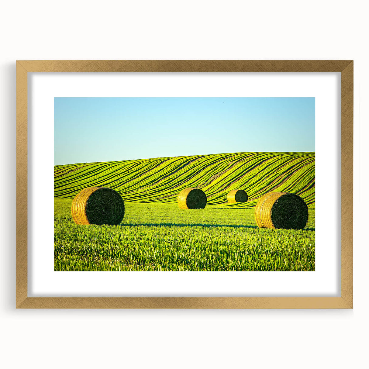 Elegant gold-framed landscape artwork featuring vibrant fields under a blue sky, enhanced with a white mat for a refined finish, perfect for home decor.