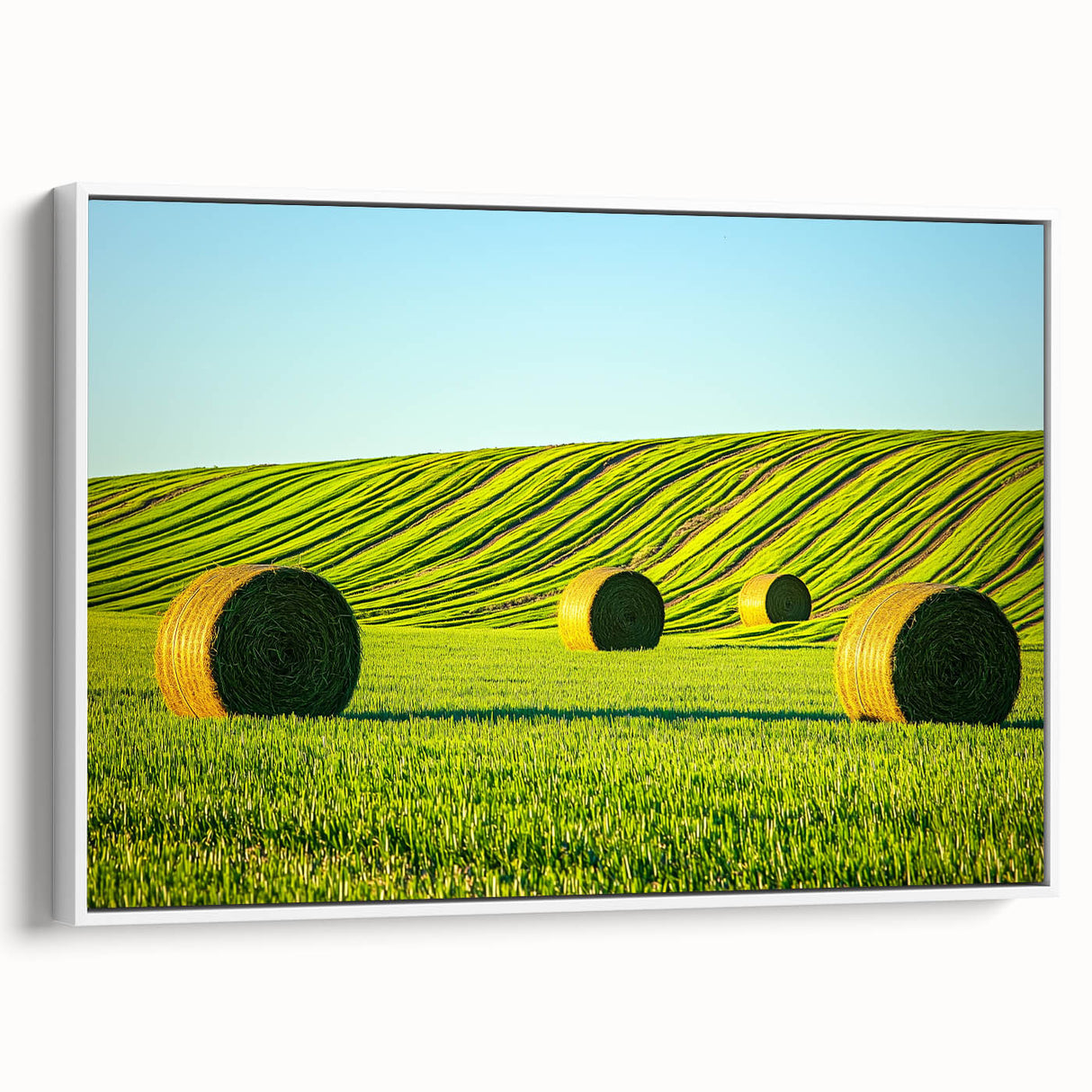 Framed canvas artwork showcasing a vibrant landscape of golden fields under a blue sky, elegantly presented from a side view with a white frame, ideal for home decor.
