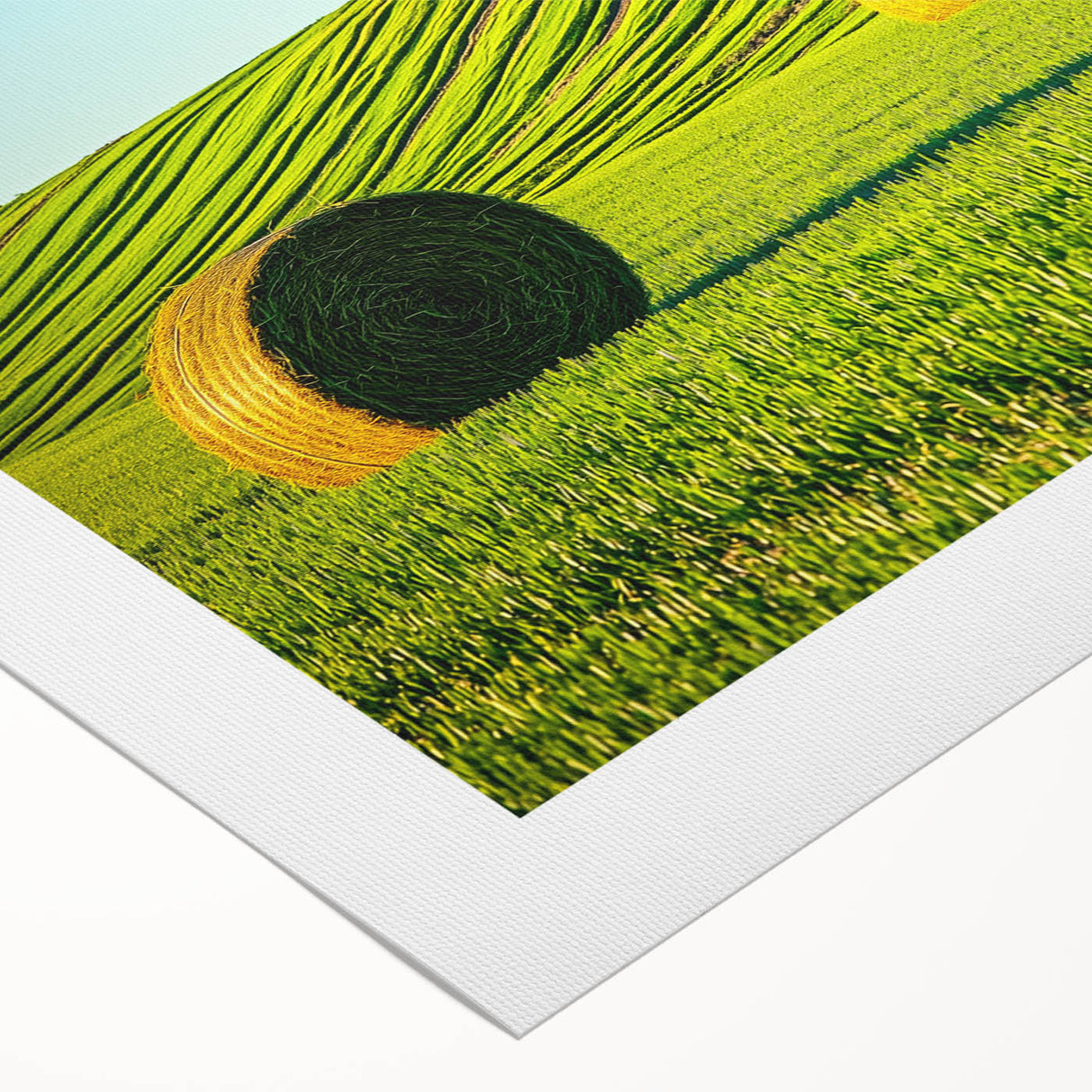 Vibrant rolled canvas showcasing a serene landscape with rolling fields under a bright blue sky, elegantly packaged in a durable cardboard tube for safe transport.