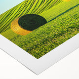 Vibrant rolled canvas showcasing a serene landscape with rolling fields under a bright blue sky, elegantly packaged in a durable cardboard tube for safe transport.