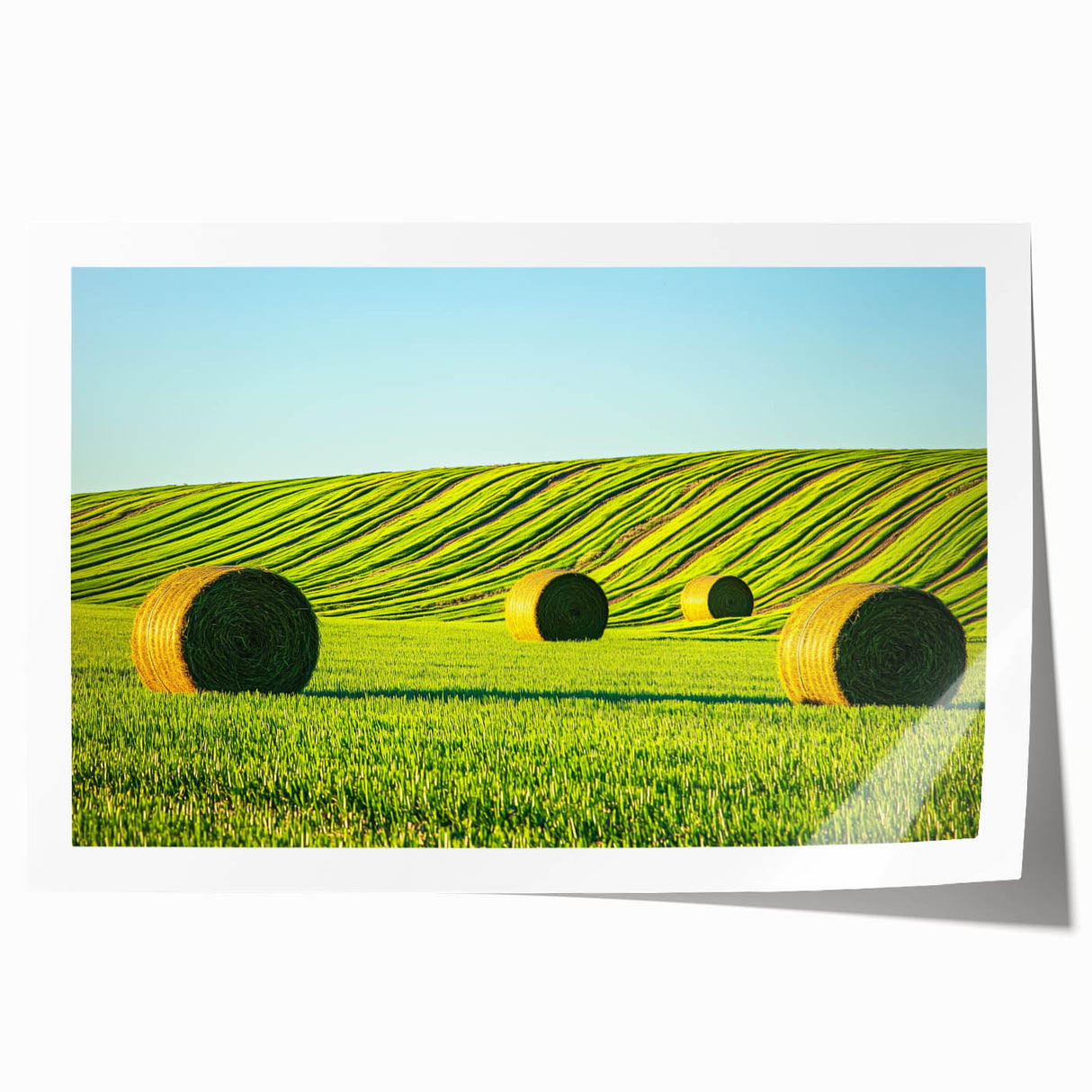 Vibrant rolled print of a serene landscape featuring lush green fields under a blue sky, designed for home decor, neatly packaged in a protective tube.