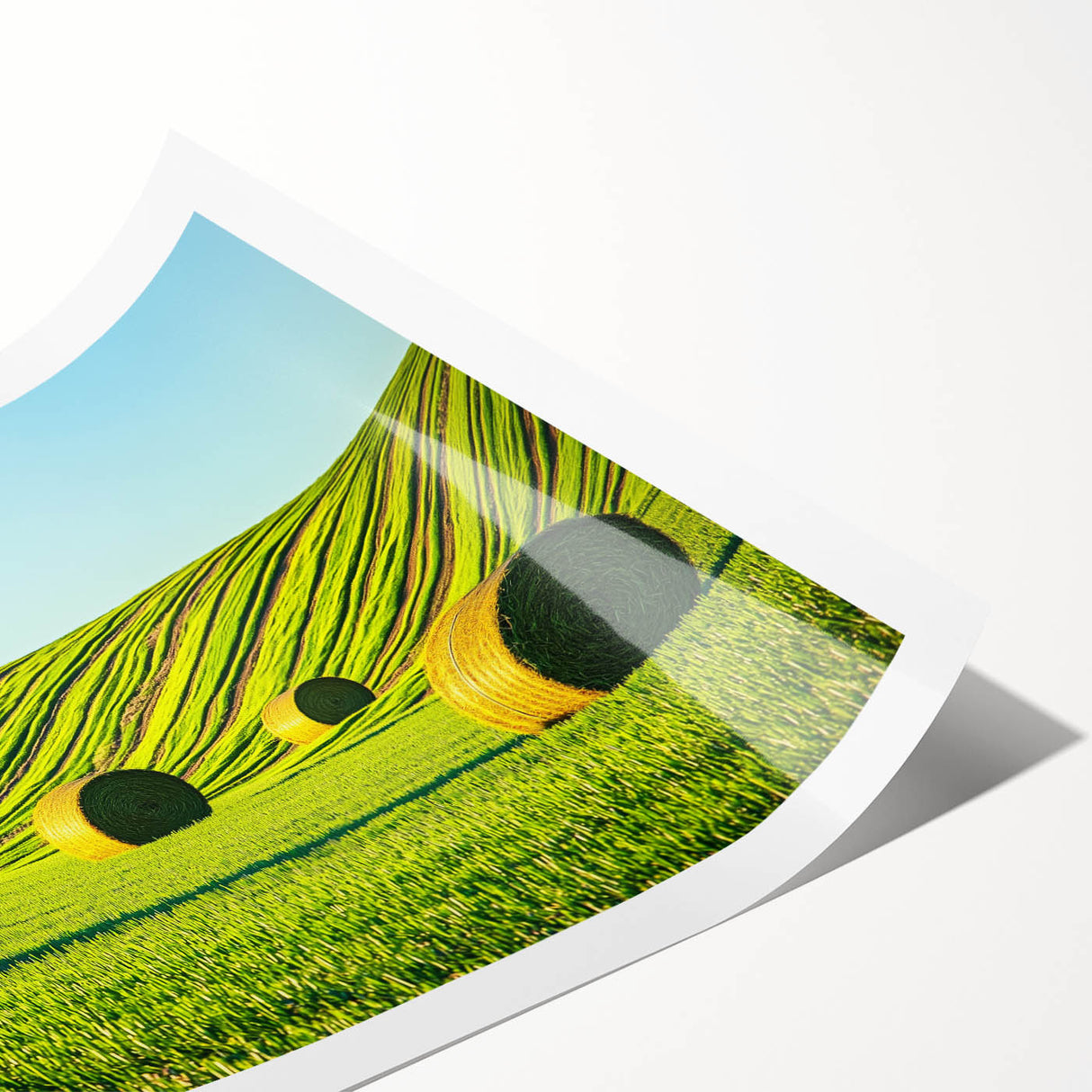 Vibrant rolled canvas print showcasing a scenic landscape with lush green fields and rolling hills, beautifully packaged in a protective cardboard tube for easy transport and display. This artwork adds a serene touch to any space, perfect for nature enthusiasts.