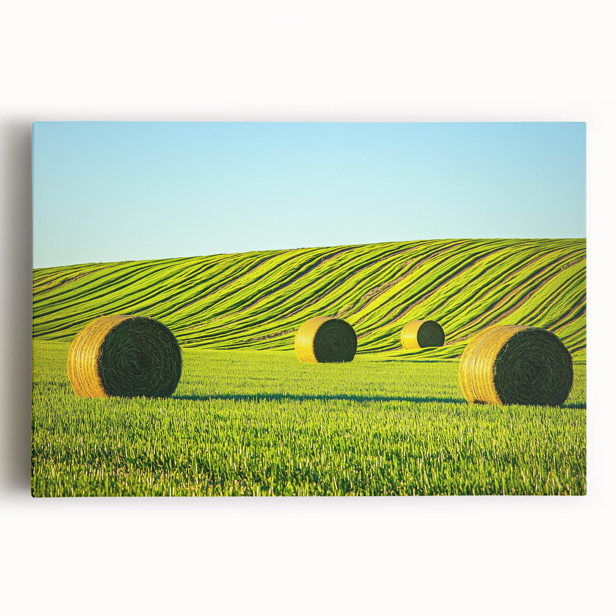 Stretched canvas artwork depicting a serene landscape with lush green fields under a clear blue sky, ideal for home decor and nature-themed interiors.