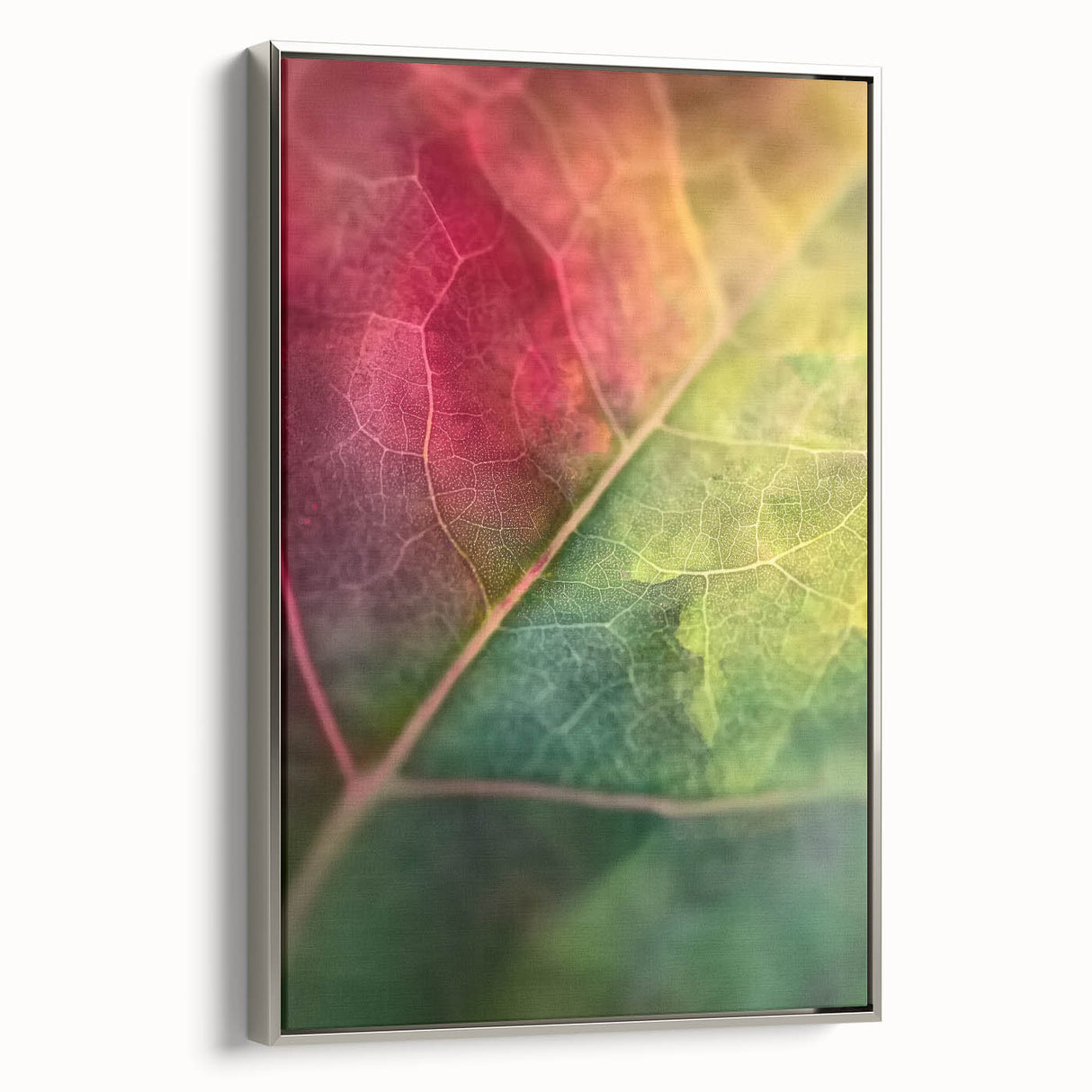 Framed canvas landscape art painting featuring colorful florals against a black background, ideal for living room decor.