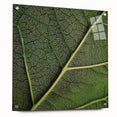 Close-up of green leaves on acrylic glass, ideal for bedroom or dining room decor.