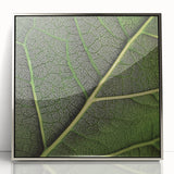 Mid-century modernist art depicting close-up green leaves, framed in acrylic with a silver border.
