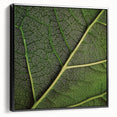 Black and white close-up of leaves on a framed canvas, suitable for bedroom wall decor.