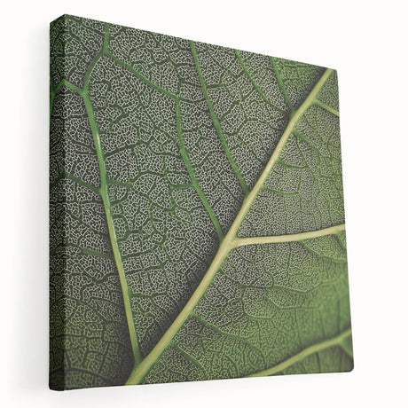 Close-up image of green leaves on a large stretched canvas, ideal for kitchen wall art.