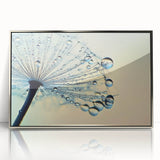 Mid-century modernist art depicting close-up water droplets, in silver framed acrylic, suitable for modern art wall decor.