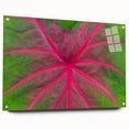 Acrylic print of a Yucatan scenery featuring lush greenery and a serene lake, ideal for enhancing dining room decor.