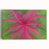 Black and white stretched canvas of Yucatan scenery, ideal for kitchen wall art.