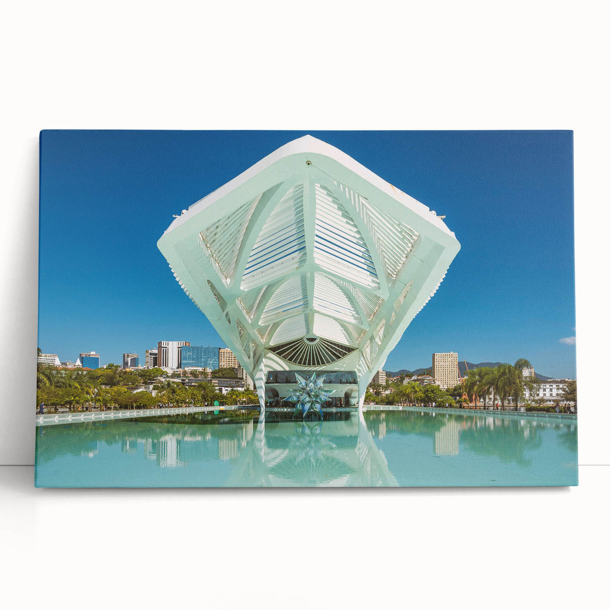 Black and white photo of Brazilian scenery on a large stretched canvas, ideal for kitchen wall art or bedroom ambiance.