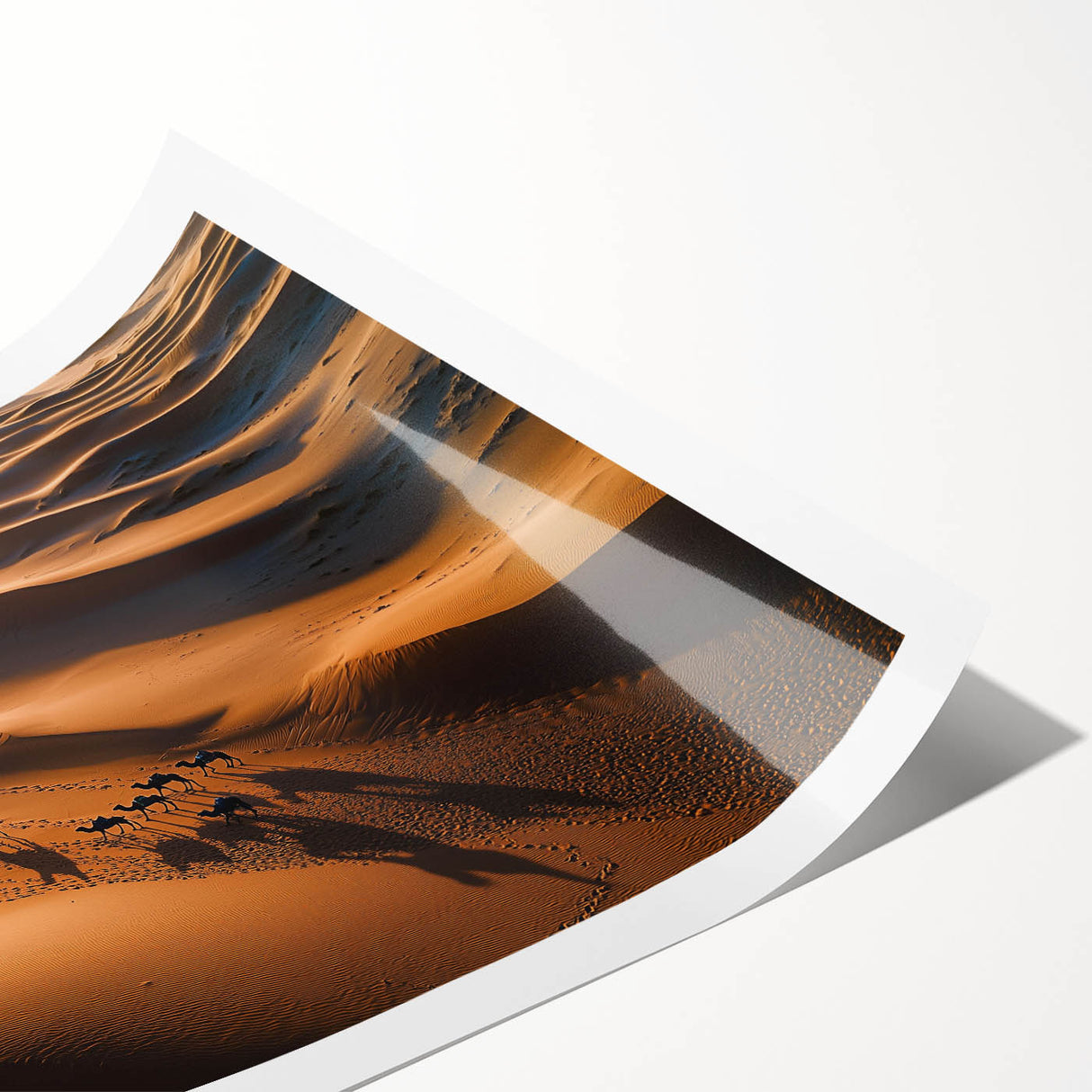 Rolling dunes landscape print showcasing soft beige and golden hues with subtle textures, elegantly presented in a protective cardboard tube for easy display.