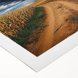 Vibrant rolled canvas showcasing a serene landscape with lush green fields and a clear blue sky, elegantly packaged in a protective cardboard tube for safe shipping.